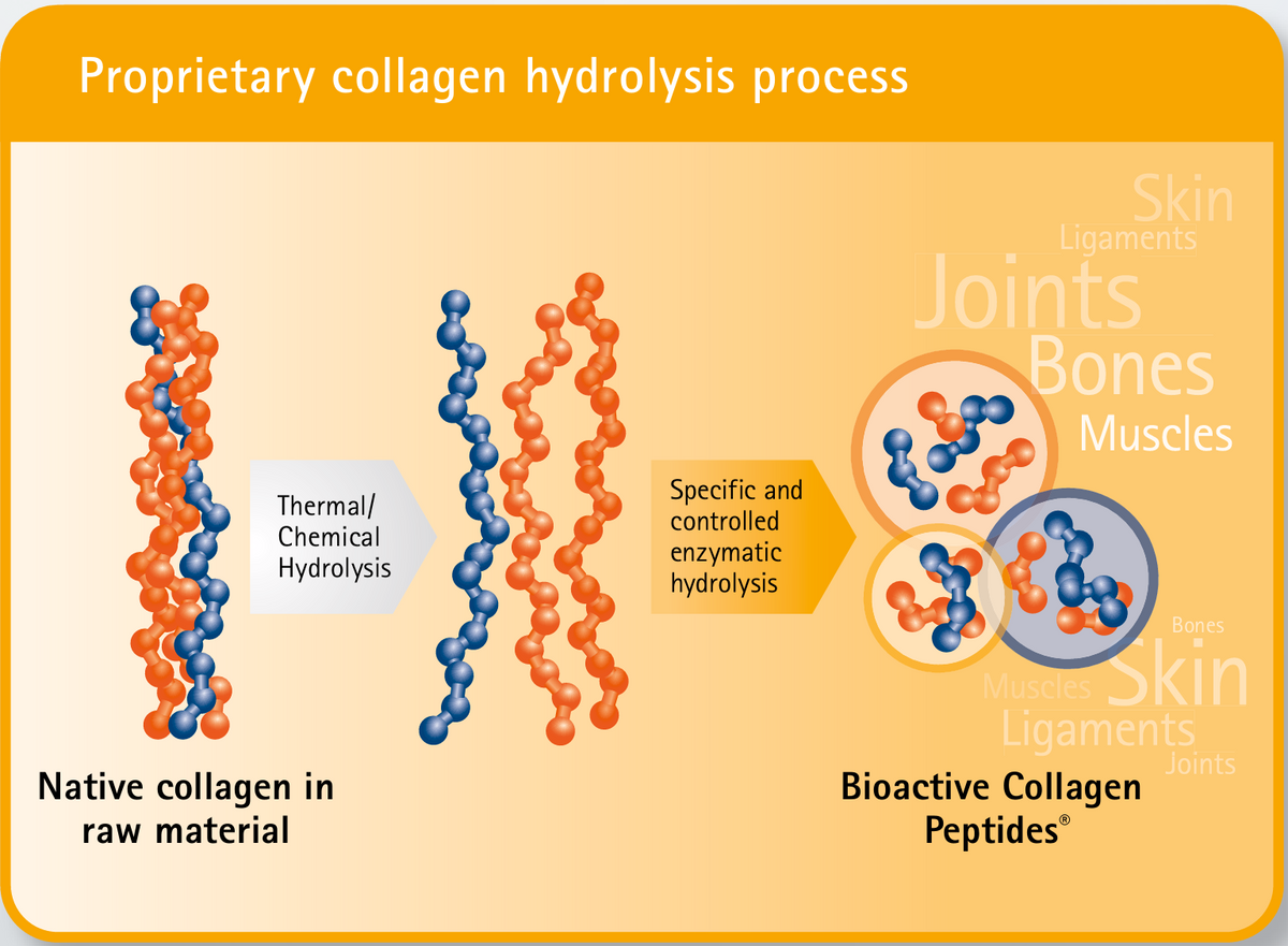 collagens – Meel corp